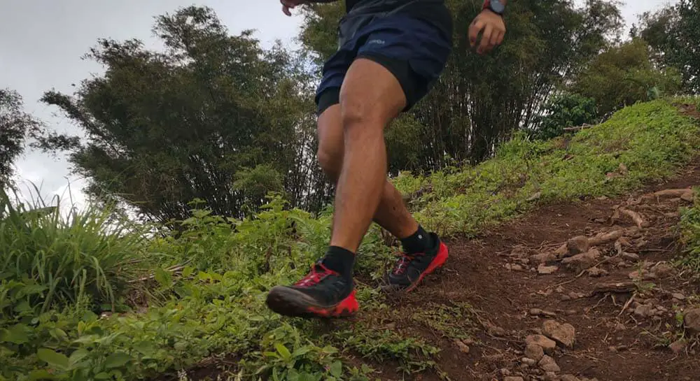 a close up photo of my legs trail running downhill